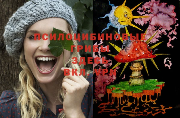 2c-b Гусь-Хрустальный
